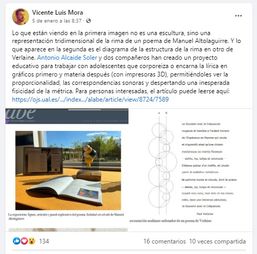 Facebook Vicente Luis Mora