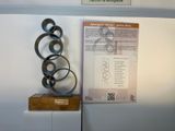 IMG-20250204-WA0016