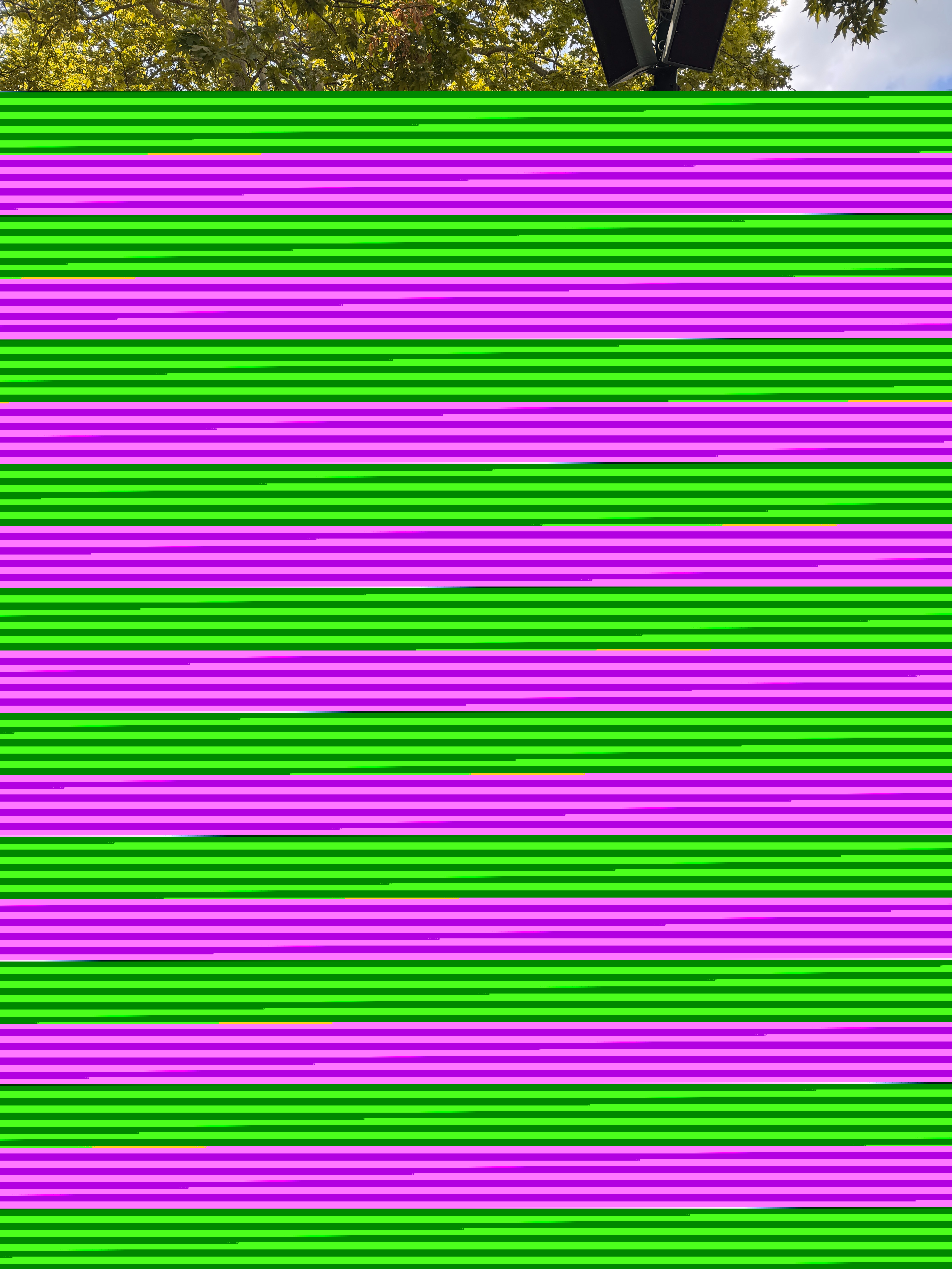 IMG_4732___serialized1