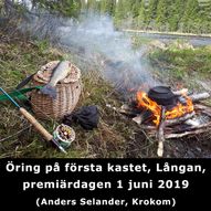 20190601_131915_txt