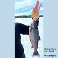 2022-04-17_OlineLoefgren