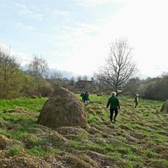 20240319 Werken bij de Notenlaer Berghem (2)