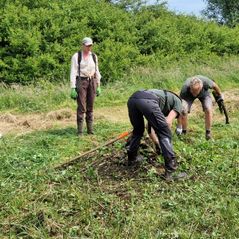 20240521_114257 Gebied bij Ossermeer. Veld ontdoen van takken en opsch