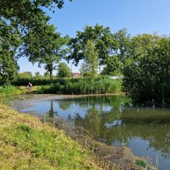 20240625_094220 Bergse Hoeve Oss