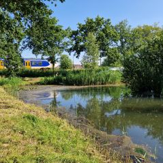 20240625_094435 Bergse Hoeve Oss