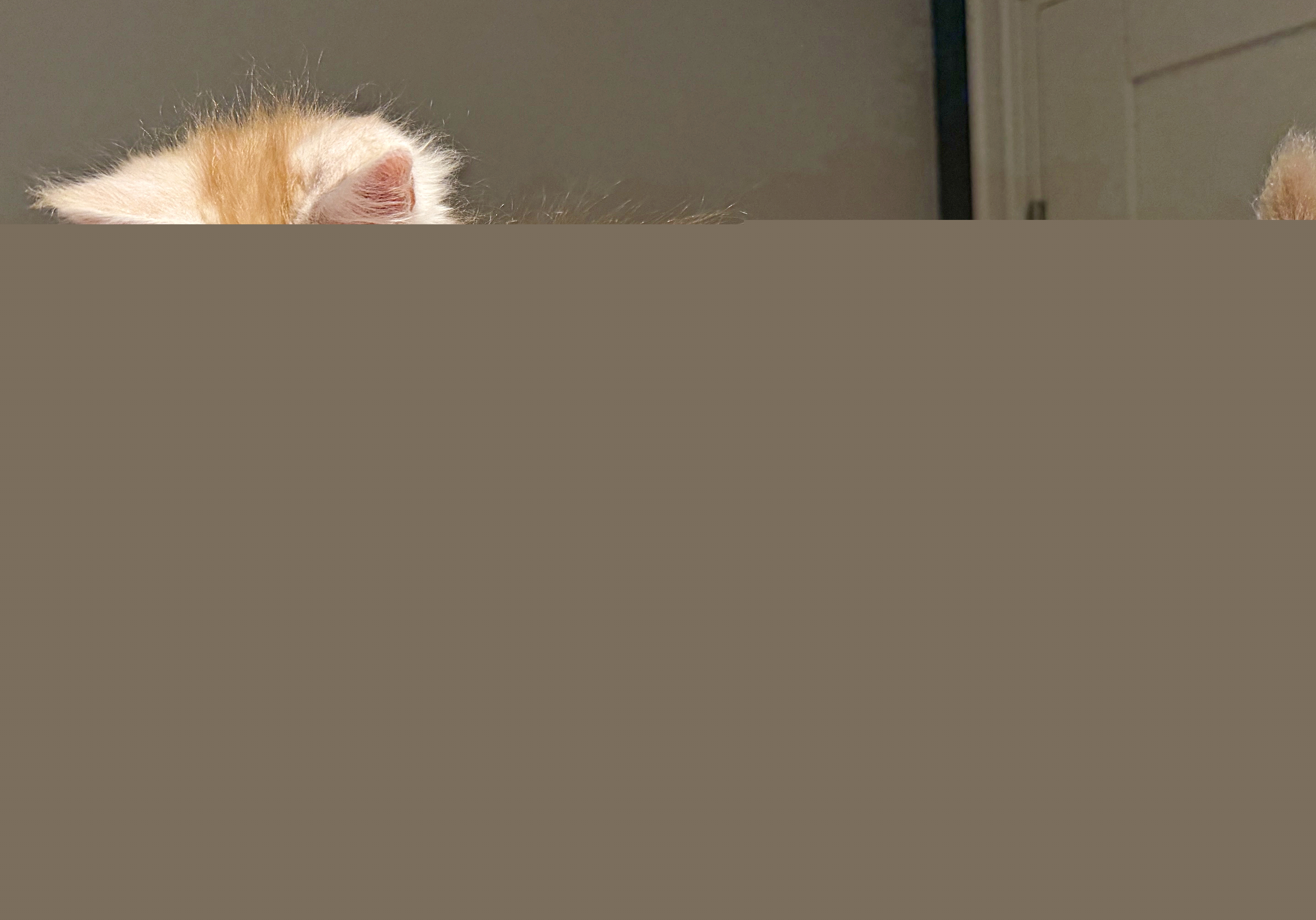 Hefaistos 