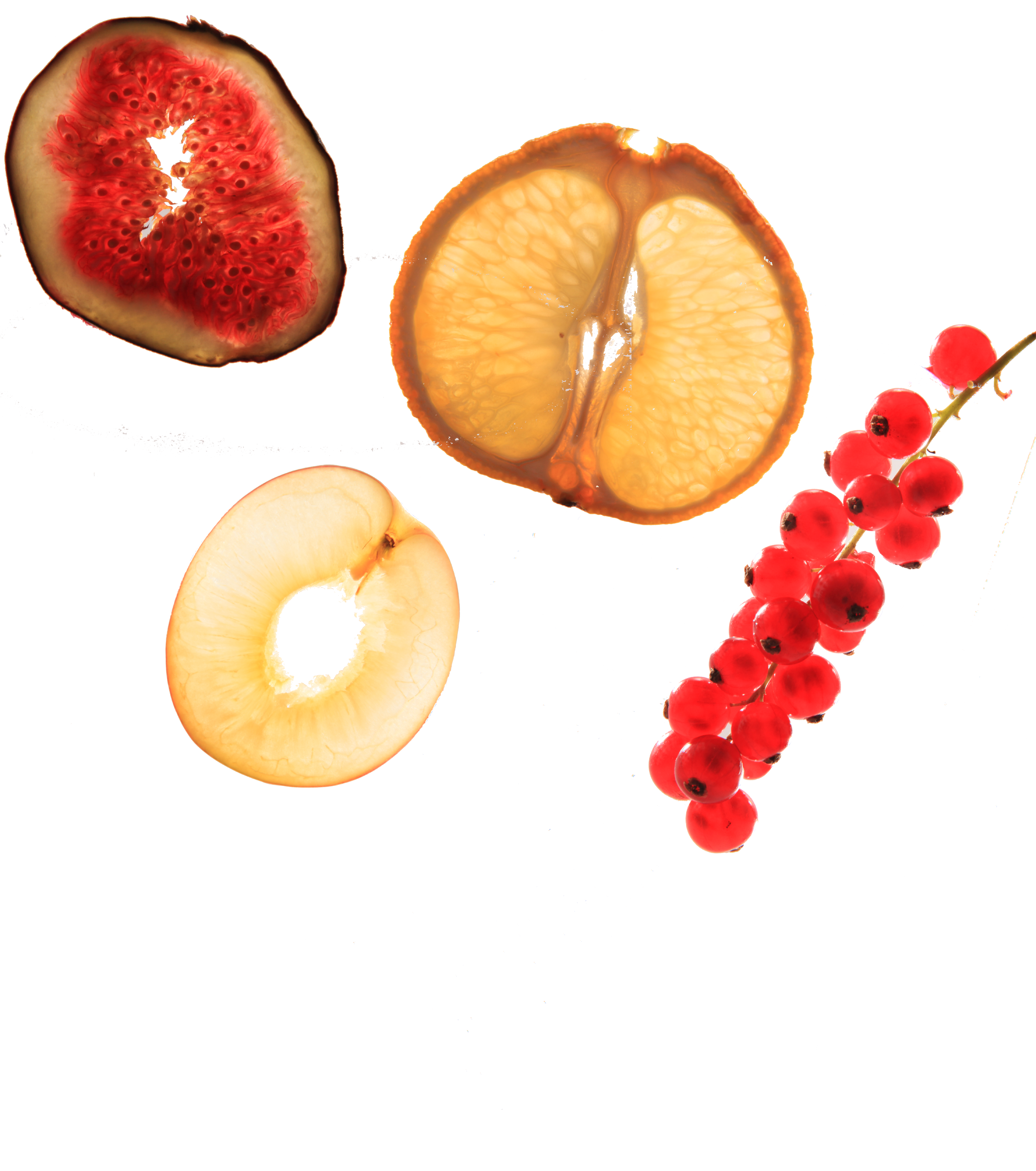 diverse fruiten kerstkaart klein