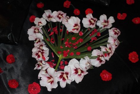 LOVE 15