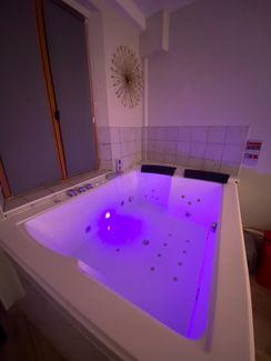 Pièce de vie avec spa (17)