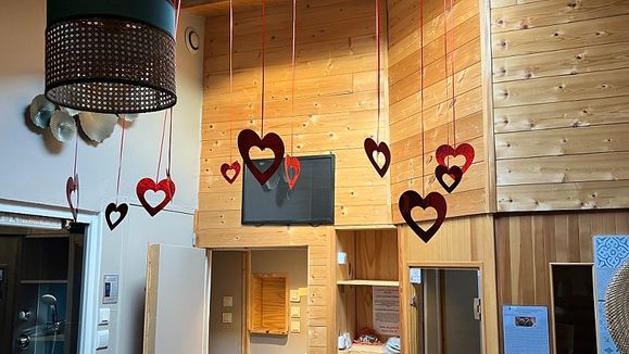 chambre coquine et romantique