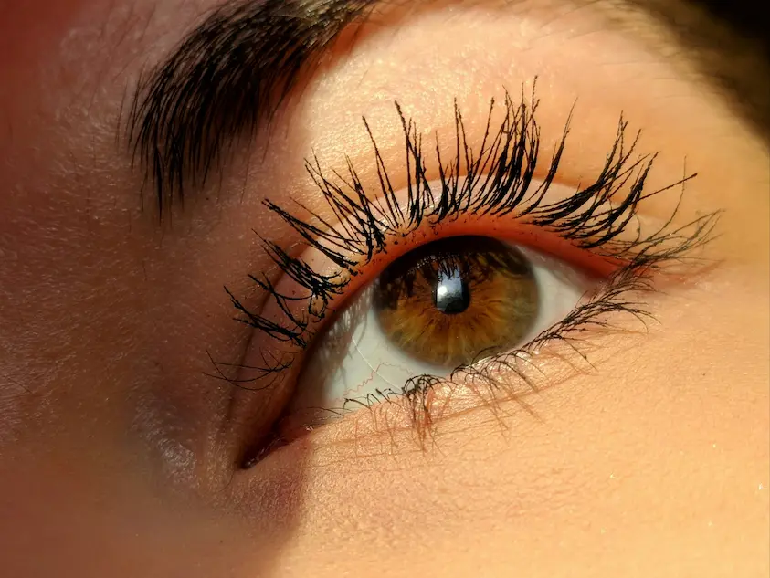 Soin du regard, rehaussement