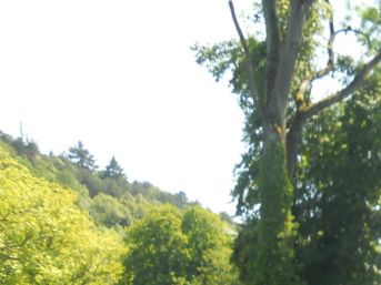 Jardins d'O Nismes