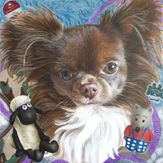 carlito-hunde_portrait