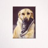 hund-miniatur