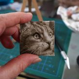katzenportrait-tierportraet-fotovorlage-benutzerdefiniert
