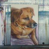 tierportraet-hund-airbrush-02