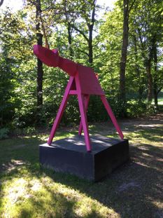 IMG_6342