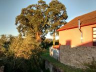 IMG_20171009_090807126_HDR