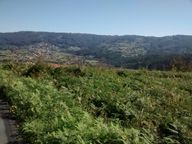 IMG_20171009_134640806