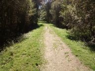 IMG_20171009_141851372