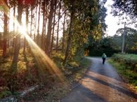 IMG_20171011_090939923_HDR