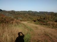 IMG_20171011_105924212
