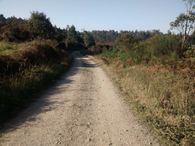 IMG_20171011_105944266