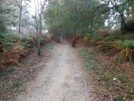 IMG_20171012_092015785