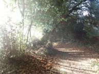 IMG_20171012_100812739