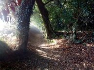 IMG_20171012_100842403