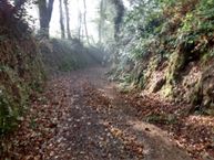 IMG_20171012_111655796_HDR