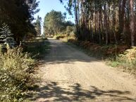 IMG_20171012_115847033_HDR