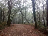 IMG_20171013_104247614