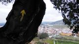 P1200319