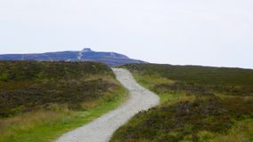 P7010151