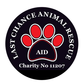 Last Chance Animal Rescue Spain