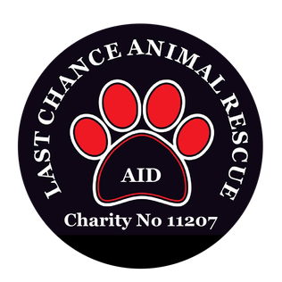 Last Chance Animal Rescue Spain