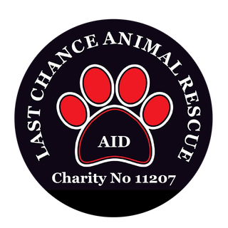 Last Chance Animal Rescue Spain