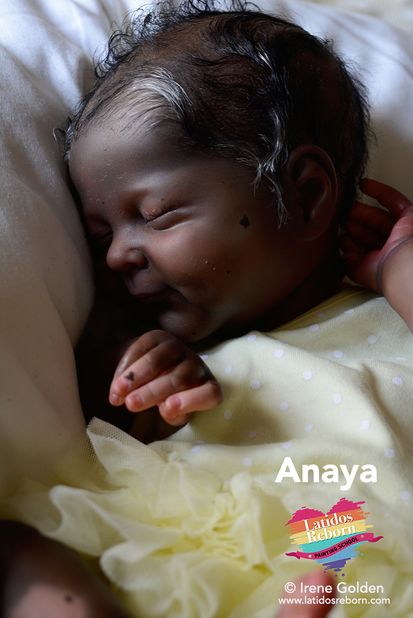 01 ANAYA LOGO