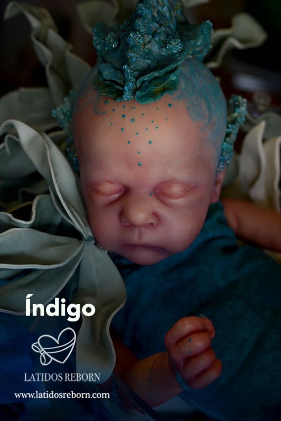 01 ÍNDIGO logo