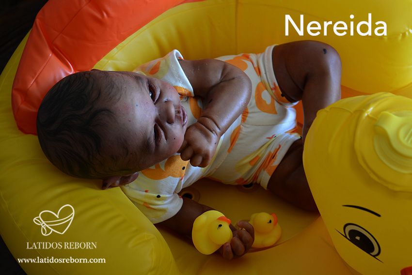 01 NEREIDA LOGO