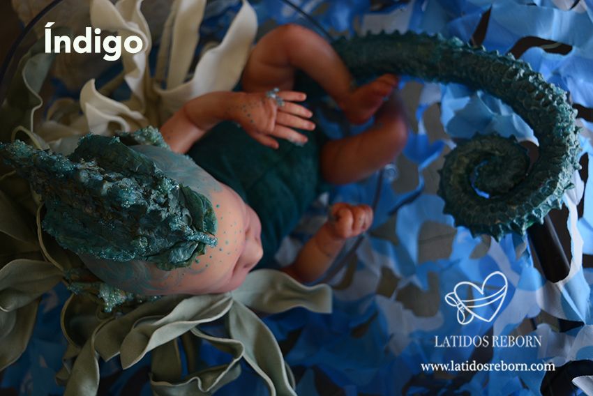 03 ÍNDIGO logo
