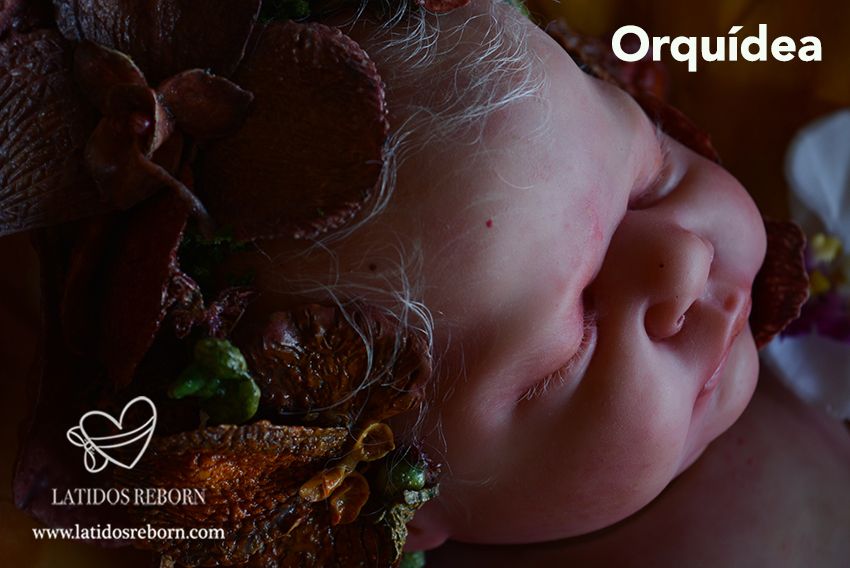 03 ORQUÍDEA logo