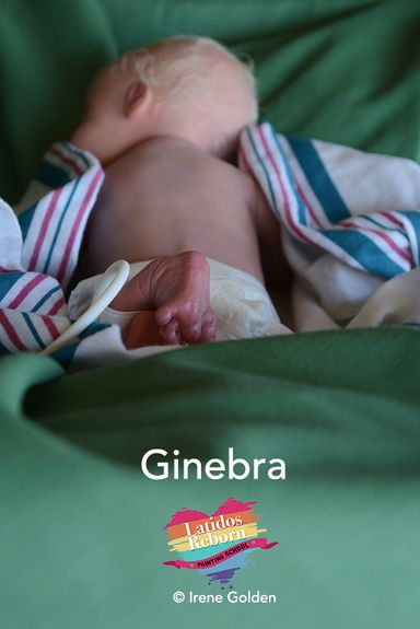 05 GINEBRA logo