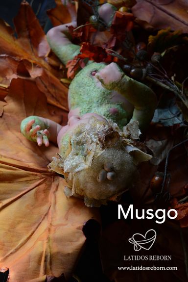 08 MUSGO