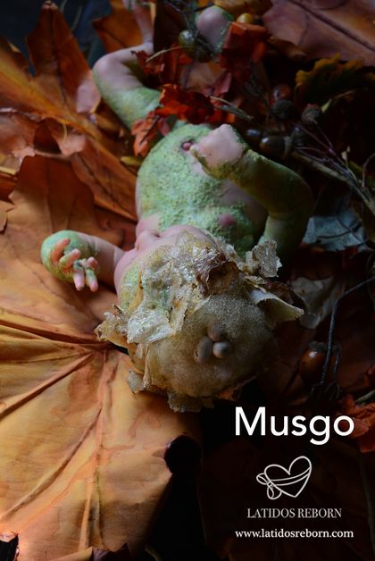 08 MUSGO
