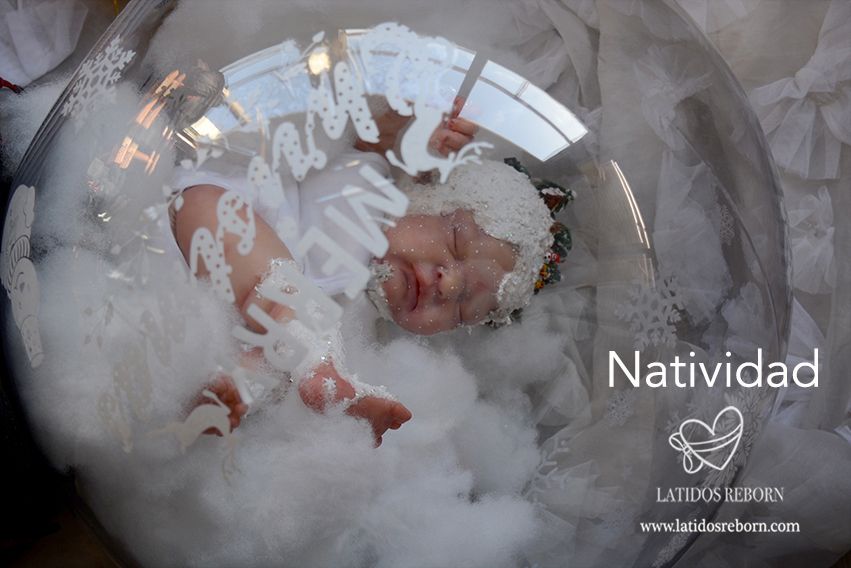 12 NATIVIDAD logo