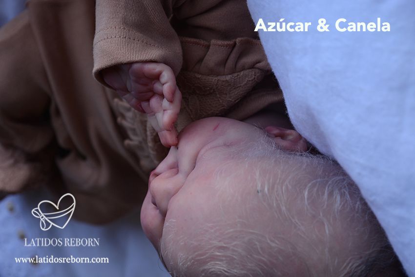 14 AZÚCAR & CANELA logo