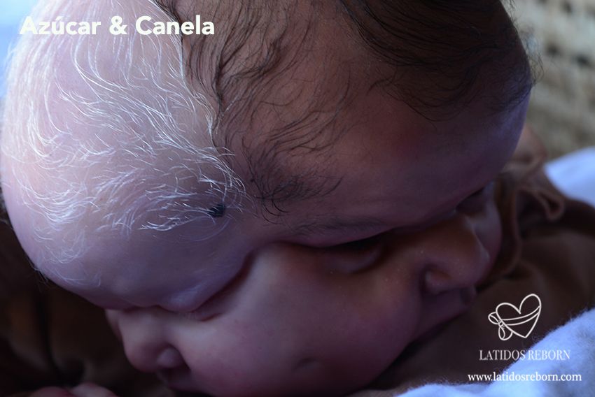 15 AZÚCAR & CANELA logo
