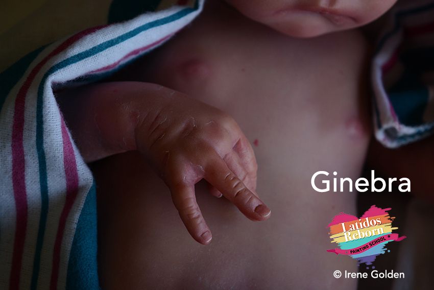 15 GINEBRA logo